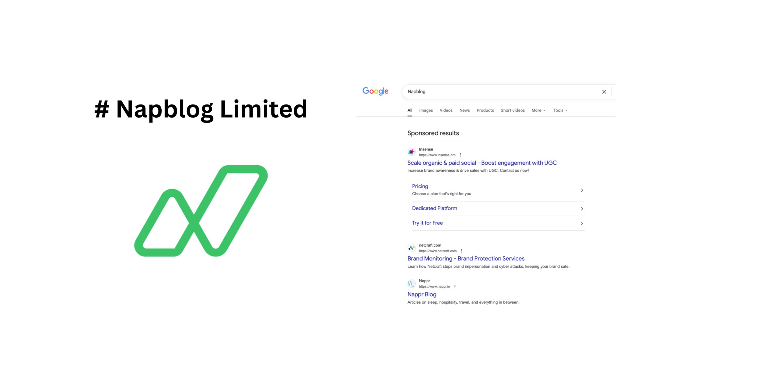 Napblog Limited Google Ads Competitor