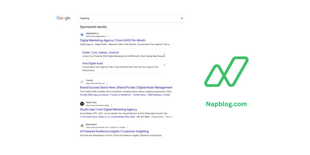 Why Are Google Ads Competitors Showing for “Napblog”?