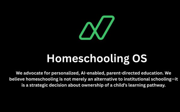 Homeschooling 10 Cons for Parents in the USA