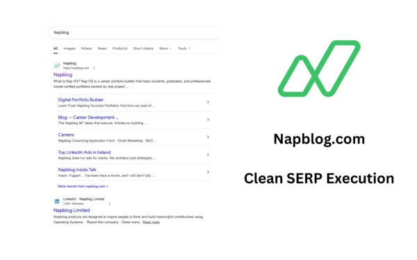 How Napblog.com Achieved Controlled Brand Search Environment in Ireland