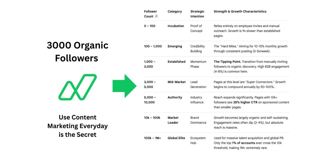 Napblog Limited at 3,000 Followers: The Tipping Point of Organic Growth Without Spending a Penny