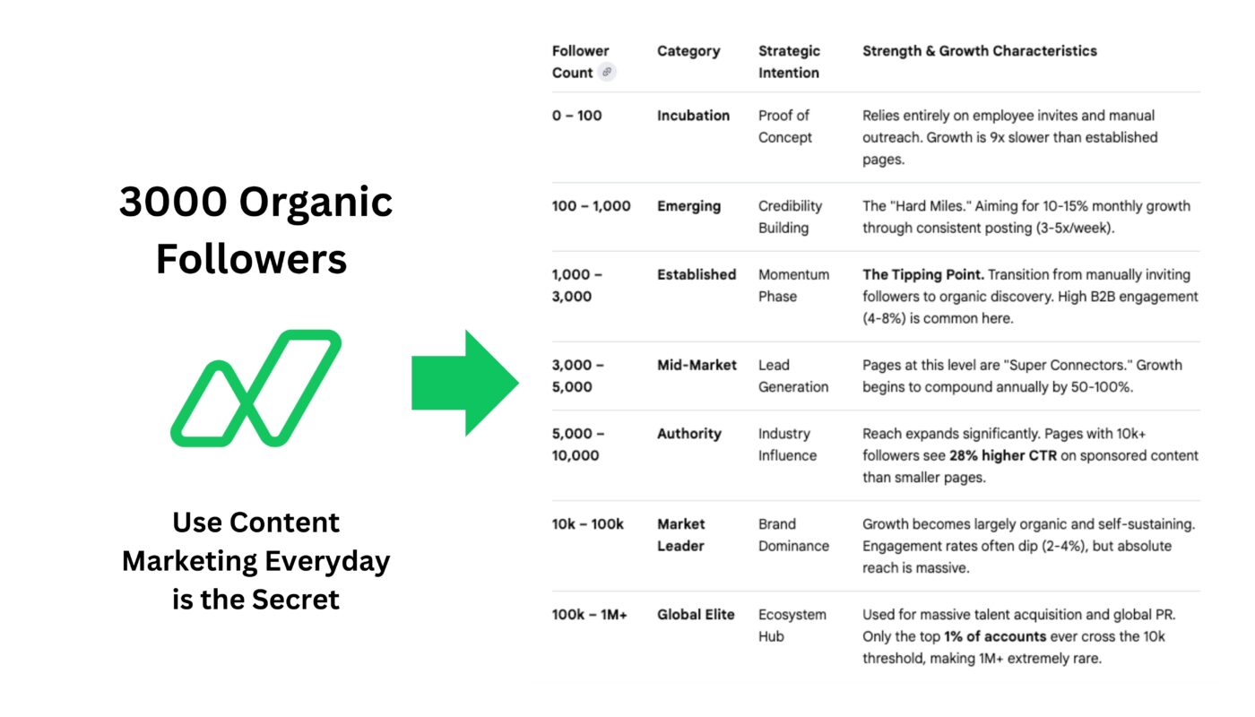 Napblog Limited at 3,000 Followers: The Tipping Point of Organic Growth Without Spending a Penny