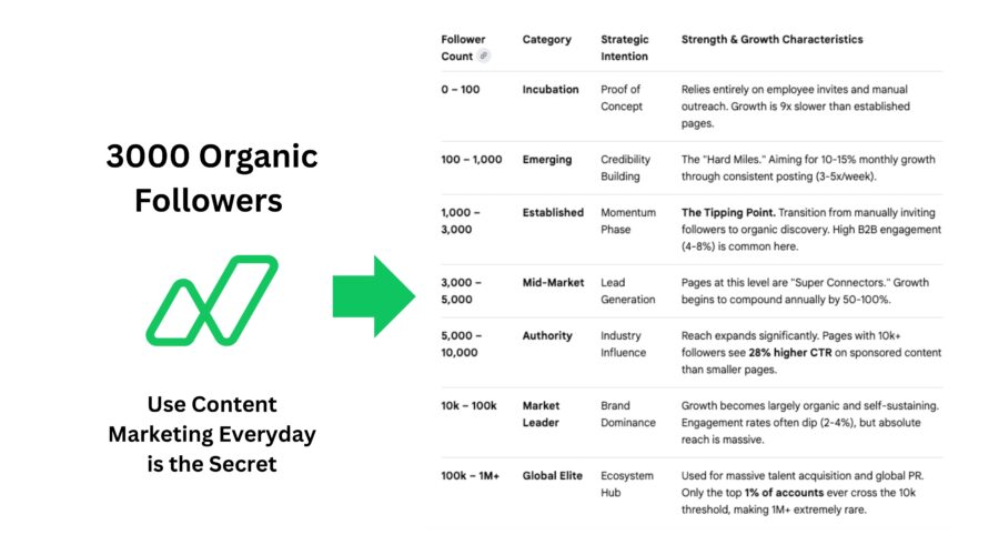 Napblog Limited at 3,000 Followers: The Tipping Point of Organic Growth Without Spending a Penny