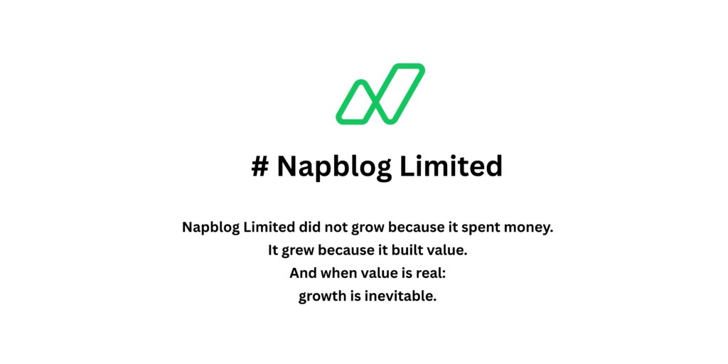 €0 Spent on Ads: How Napblog Limited Built Growth Through Lean, Clean Operational Efficiency