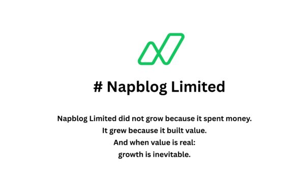 €0 Spent on Ads: How Napblog Limited Built Growth Through Lean, Clean Operational Efficiency