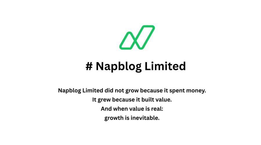 €0 Spent on Ads: How Napblog Limited Built Growth Through Lean, Clean Operational Efficiency