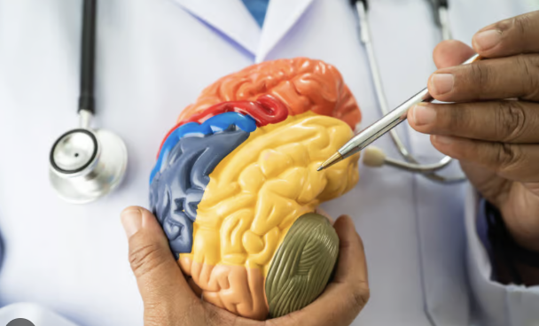 Neuro-Linguistic Pattern Recognition for Better Brain Health