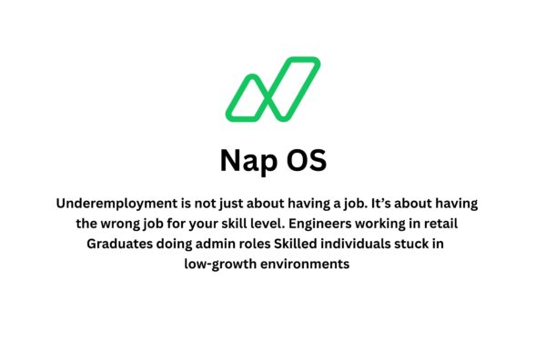Underemployment Crisis: Why 42.5% of Graduates Are Working Below Their Potential And How Nap OS Fixes It?