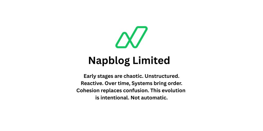 Strategic Cohesive Decision Making in Early-Stage Startups — Lessons from Napblog Limited