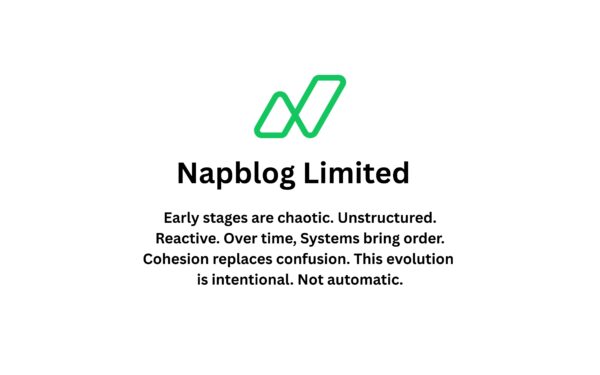 Strategic Cohesive Decision Making in Early-Stage Startups — Lessons from Napblog Limited