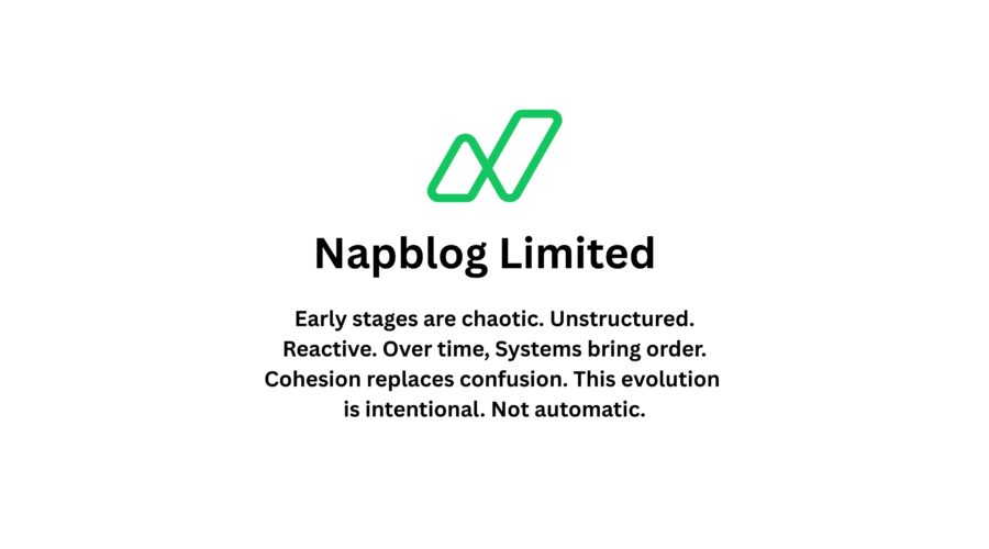 Strategic Cohesive Decision Making in Early-Stage Startups — Lessons from Napblog Limited