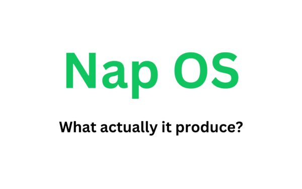 What Does Nap OS Actually Produce? Is It a Dashboard or a Real Product?