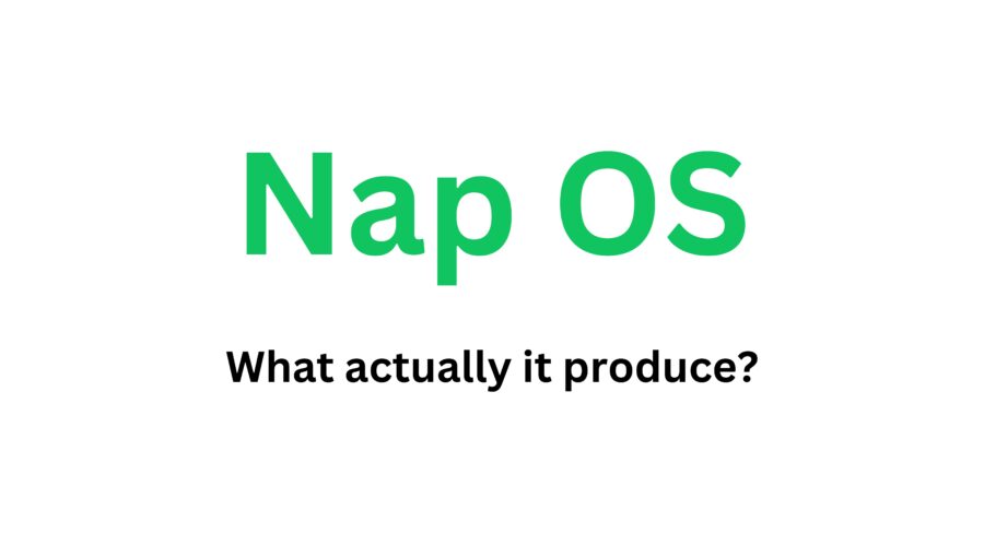 What Does Nap OS Actually Produce? Is It a Dashboard or a Real Product?