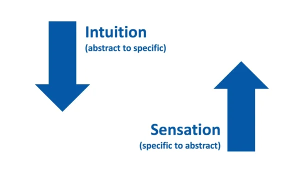Decision Tree and Rainbow Forest, Founder Led Intuitive - How it connects as Billion Dollar