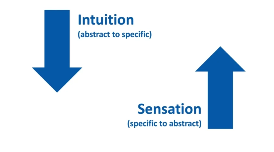 Decision Tree and Rainbow Forest, Founder Led Intuitive - How it connects as Billion Dollar