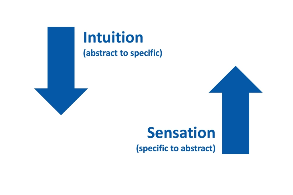 Decision Tree and Rainbow Forest, Founder Led Intuitive - How it connects as Billion Dollar
