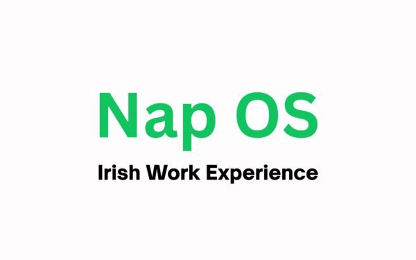 The Irish Work Experience Catch-22—and How Nap OS Solves It by personalised internship with project manager support until employment success.