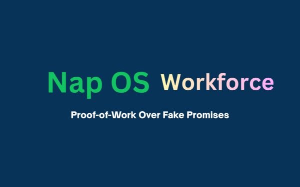 Why Job Seekers in Ireland Should Be Excited About Workforce Platforms Like Nap OS?